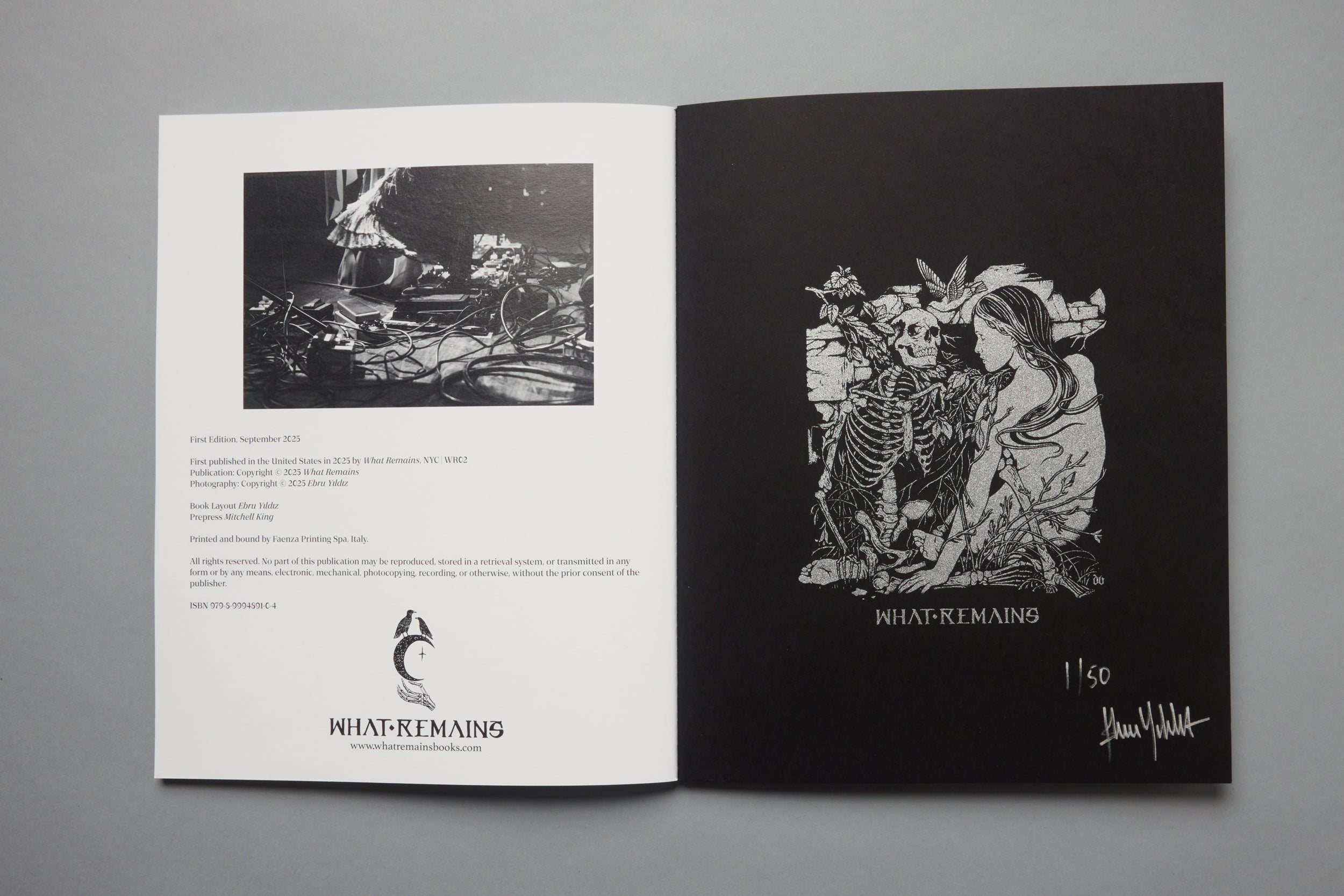 BORIS by Ebru Yıldız