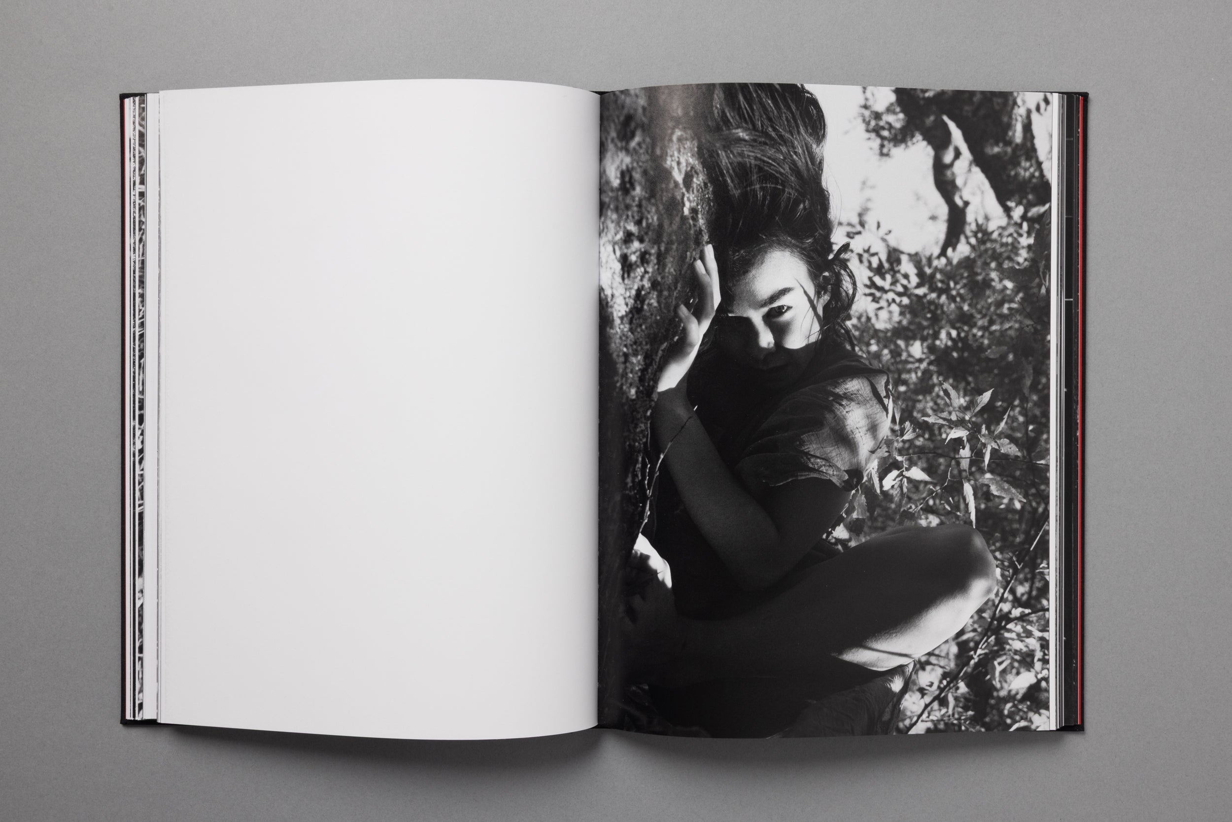King Of All The Land: Mitski by Ebru Yıldız