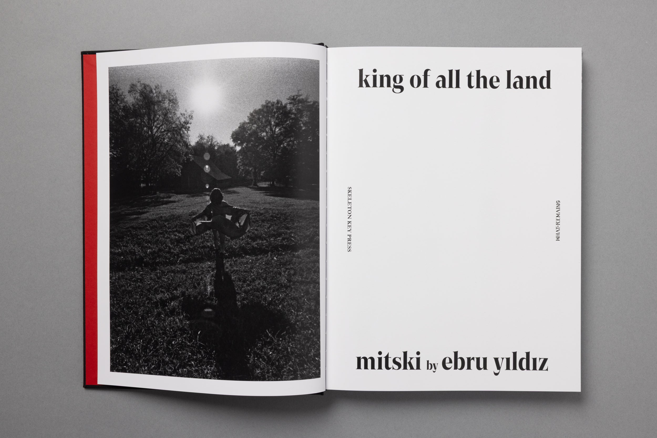 King Of All The Land: Mitski by Ebru Yıldız