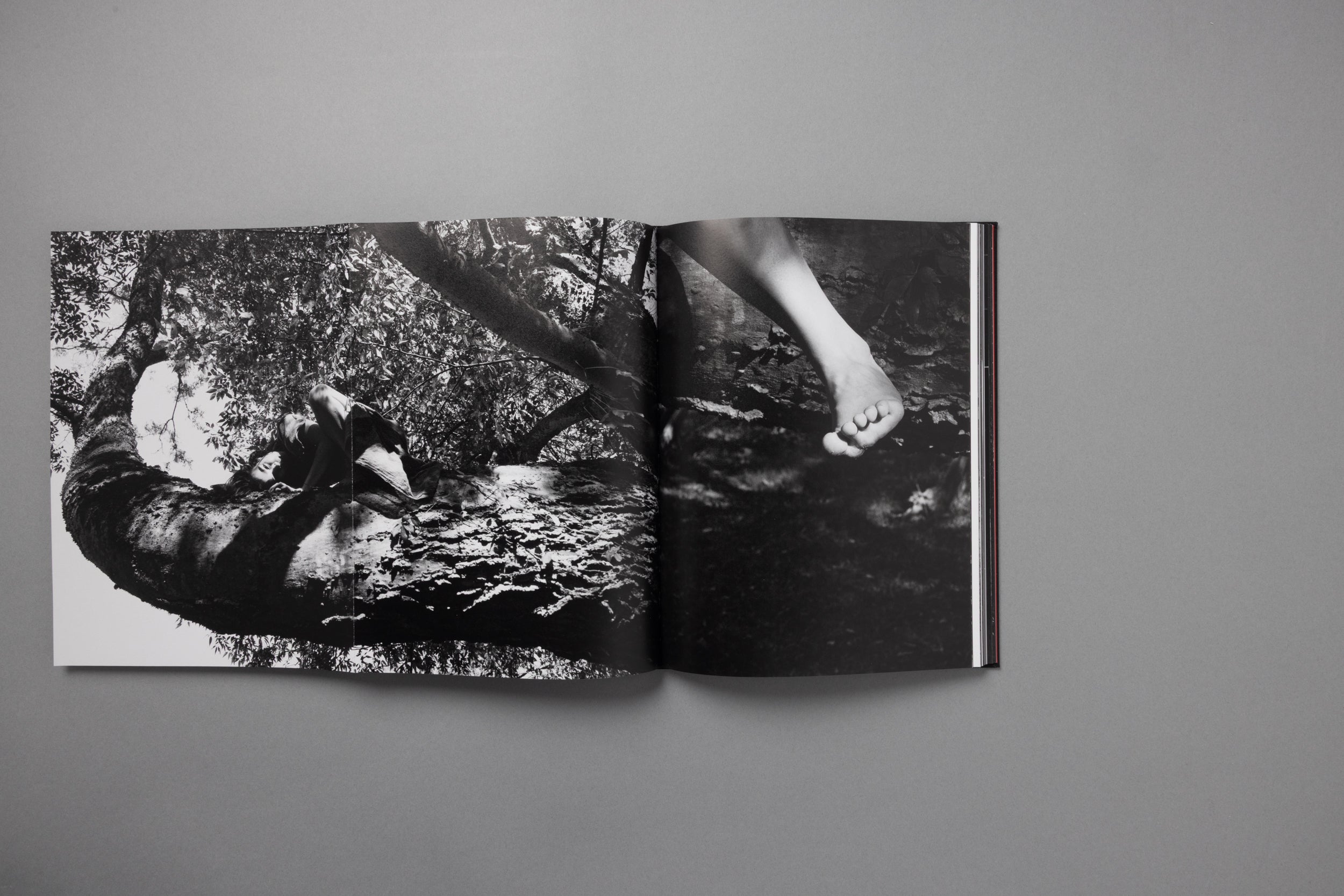 King Of All The Land: Mitski by Ebru Yıldız