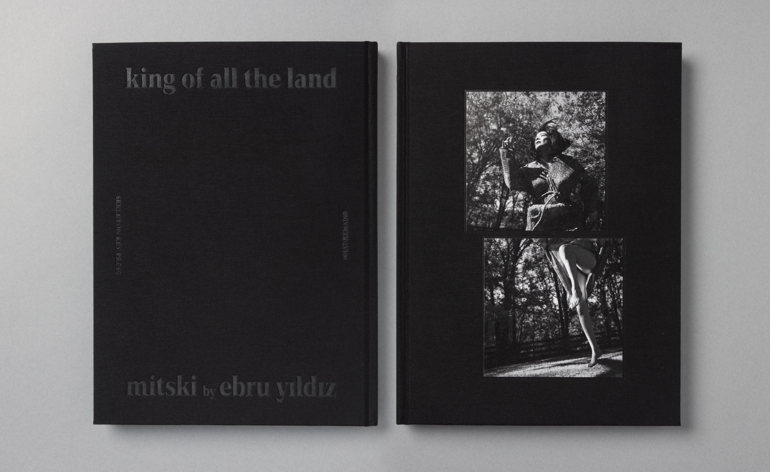 King Of All The Land: Mitski by Ebru Yıldız