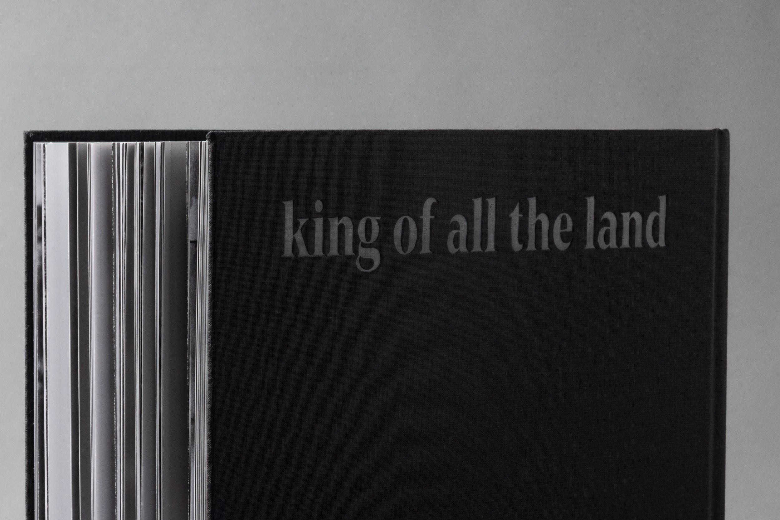 King Of All The Land: Mitski by Ebru Yıldız